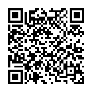灵龙就将所有成熟了的灵果全都纳入了自己的体内二维码生成