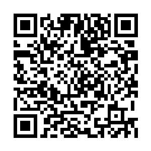 灼热的灵力激荡顺着她的右手反向灌输到身体内二维码生成