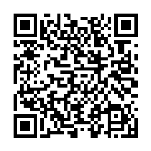 炎月族也成为了最高议会之中最擅长使用火系力量二维码生成