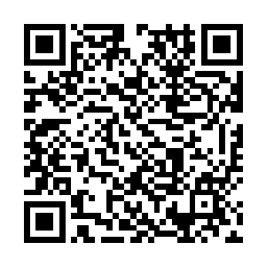 炎神之主晴要收雅晴为亲传弟子也是理所应当的事情了二维码生成