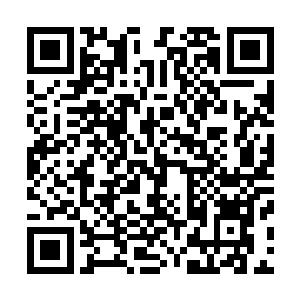 炎角的人也充分给那些第一次进山林的人演示了狩猎的方法二维码生成