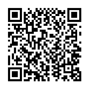 炎角部落的第二道防线是由巨大的木桩和石头围成的围墙二维码生成