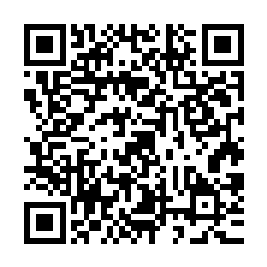 炎阳锻体丹的能量开始沿着玄青青的经脉展开一波又一波扫荡二维码生成