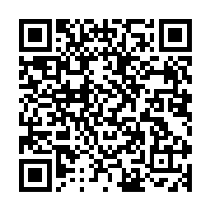 炎黄界域这样的小地方还能出现像莫六道那种恐怖的天才妖孽二维码生成