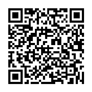 炎龙魂帝等人已经差不多将魂珠所化的的怪物消灭二维码生成