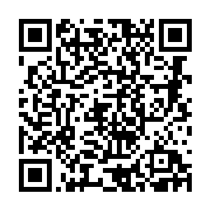 炮弹擦着车身险之又险地地击中了后面的一颗大树二维码生成