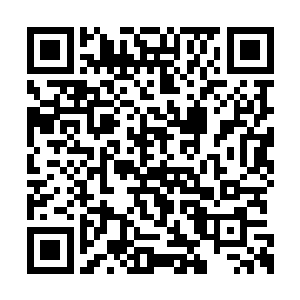 点出了五十名跟了他好些年的巡逻队兄弟保护我二维码生成