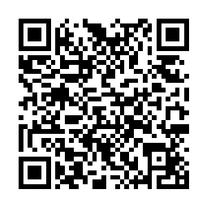 点完头之后才想起来陆朝歌根本就看不到他在点头二维码生成