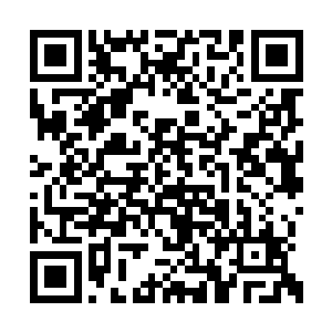 点开了心腹传给他的那份凌天机甲团的出战名单二维码生成