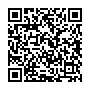点火这么高科技的天赋点可不是一只猫能轻易点亮的二维码生成