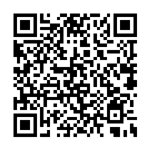 点点琼浆顺着玲珑的曲线没入她白皙的锁骨之中二维码生成