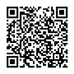 炼制九品后期仙丹对于许紫烟来说实在是太过简单二维码生成