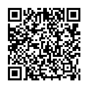 炼制的傀儡不出意外至少能达到化神初期的实力二维码生成