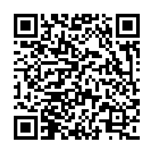 炼制者蛮横地禁锢了一头传奇红龙的灵魂在当中二维码生成