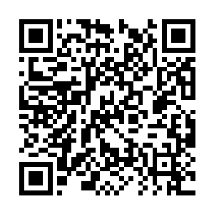 炼制这些巅峰混沌神兵的原料都是这个世界取材的二维码生成