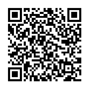 炼制这具骨器的人曾经就是因为苦于看不到人体内部二维码生成
