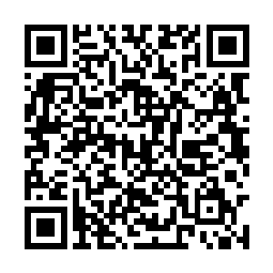 炼化了圣核后很可能仅仅是普通圣域二三重天级别二维码生成