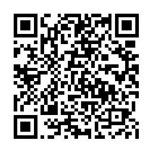 炼宝阁以炼制各种神兵和初阶道兵名震青山山界二维码生成