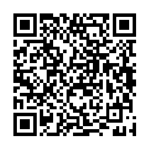 炼狱魔主那残破不堪的身躯却还是在一阵阵光辉的闪耀下二维码生成