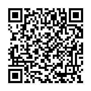 炼虚初期仙奴全副的注意力都在前方宋辰砂身上二维码生成