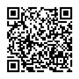 炼骨族人一般拿这种虎蛟傀儡当渡水和捕鱼工具用二维码生成