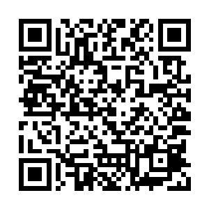 炼骨族还无法使整个世界的所有生灵都化为白骨二维码生成