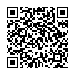 烂番茄新鲜度总是会以闪电般的速度滑落到百分之七十以下二维码生成