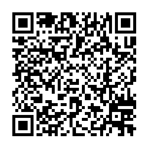 烈火圣族约我们风族以比赛的形式来决定最后由谁掌控木圣族旧迹二维码生成