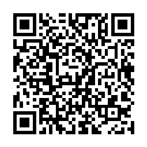 烈焰佣兵团即将对付阎罗殿的事情引起了很多人的关注二维码生成