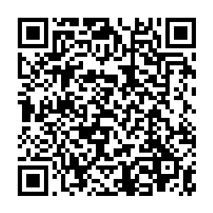 烈焰佣兵团的七名大圣师和天华宗的青衫青木两人已经被安置妥当二维码生成