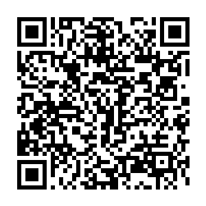 烈焰佣兵团的多康七人和天华宗的青衫青木两人都是一人一间房间二维码生成
