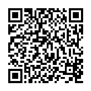 烈焰佣兵团的成员全部都葬身于金毛虎王的口中二维码生成