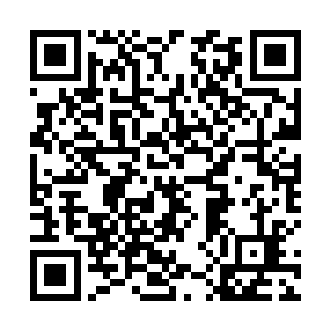 烈焰佣兵团真正拿得出来的强者也就只有几名圣王而已二维码生成