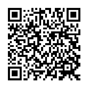 烈焰红莲的莲子一颗颗差不多有张铁小时候玩的玻璃珠那么大小二维码生成