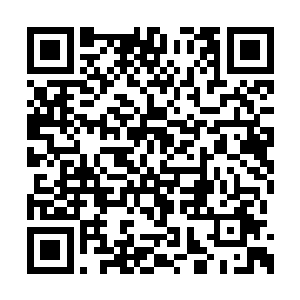 烈焰红莲的莲子给自己的身体注入了特殊的能量二维码生成