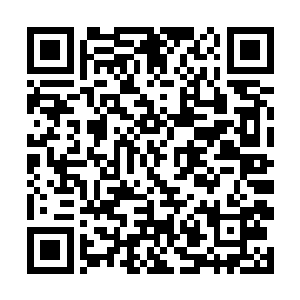 烛龙殿和其他几大势力想要联手将里面的宝物独吞了二维码生成