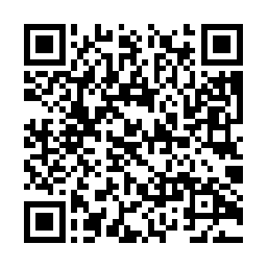 烛龙殿负责提供一切炼制洪灵神丹的材料以及火焰二维码生成