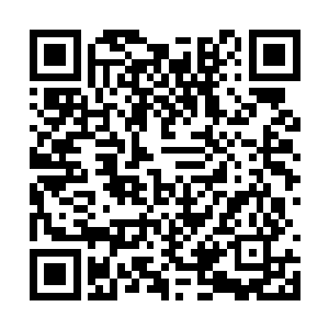 烤好的肉干以及刚腌制不久的肉还有新采集的果子二维码生成