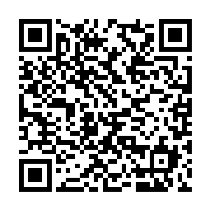 烤羊鲜美的味道暂时让大家忘记了这不愉快的一幕二维码生成