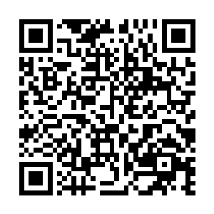 烧火棍就要给朱守仁来一个亲密接触就在这千钧一发之际二维码生成