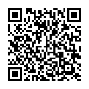 热闹的讨论着她的品种――只是已经偏的没有边儿了二维码生成