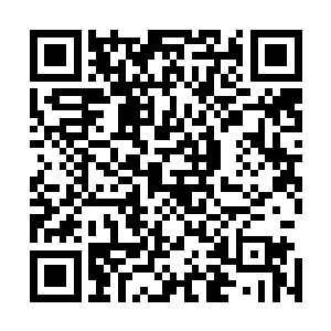 焚天圣莲之中的业火也不断的净化恶龙之魂身上的阴邪之力二维码生成