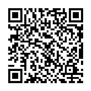 焚焱手中的紫色的火莲也是直接朝着阵玄子身边飞射而出二维码生成