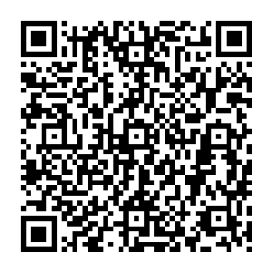 焚龙岛的太古焚龙是分了三匹分别被残影蛇龙一族混沌冰龙一族啸天雷龙一族给带走的二维码生成