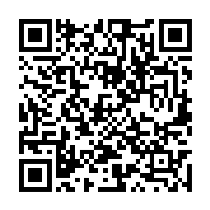 焦急地等了苏紫萱一下午的棒子国长腿明星李敏进二维码生成