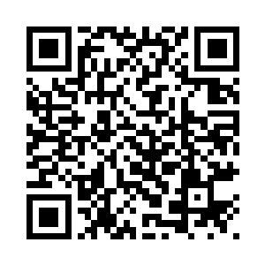 焦雷土豆蛊顿时绽放出微微的碧光二维码生成