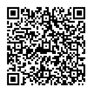 焱龙帝宫的焱龙大帝以及跟着他一起赶赴五行果大会的四龙将等人突然消失得无影无踪二维码生成