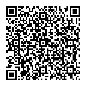 然后……的苏……苏师姐……也追了下来……却给他们一并打死了……临死抱着……掌门留下的衣服二维码生成