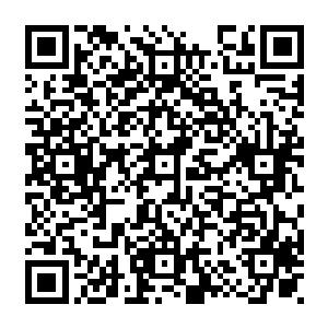 然后一个个和她穿着一般模样的清凉绿色连衣短裙的婢女端着一个个托盘走了进来二维码生成