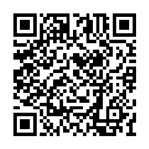然后一个人不知死活钻进了一座赫赫有名的大墓二维码生成